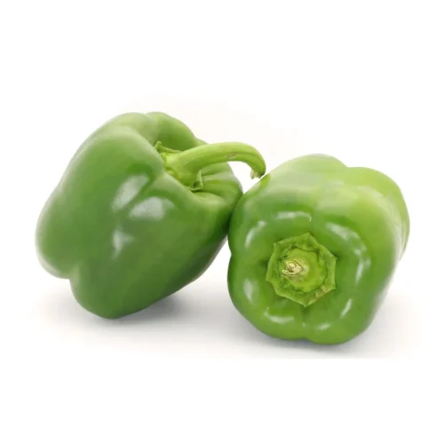 Capsicum