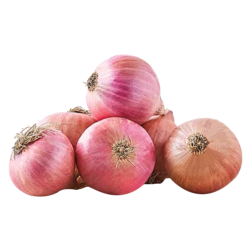 ONION